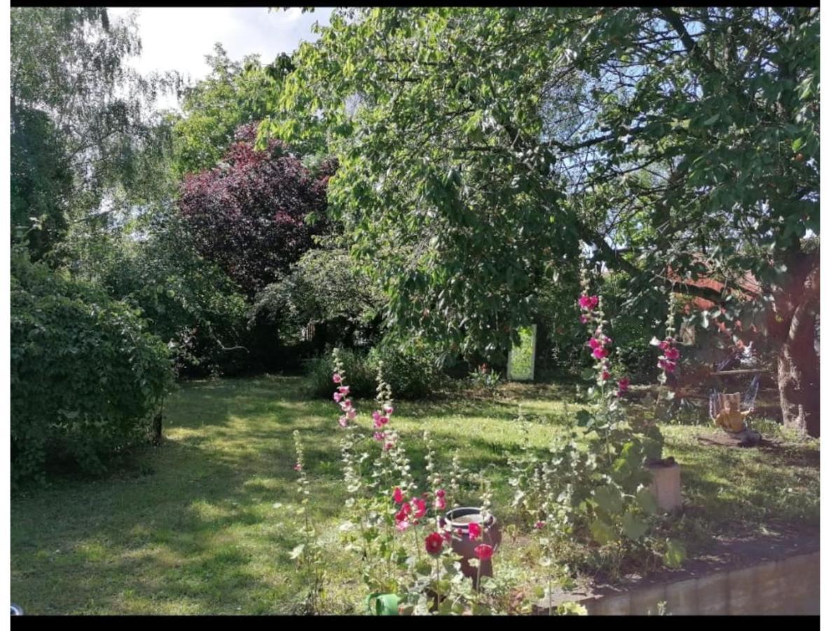 Geraeumiges 120m² Haus Mit Garten + Stellplatz Stralsund